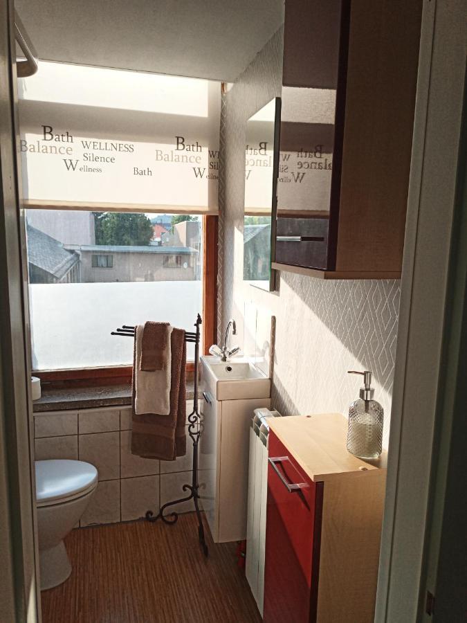 Bed and Breakfast Zur Friedrichsruh à Oelsnitz  Extérieur photo